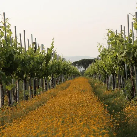 Tenuta Lamborghini Golf & Panicale