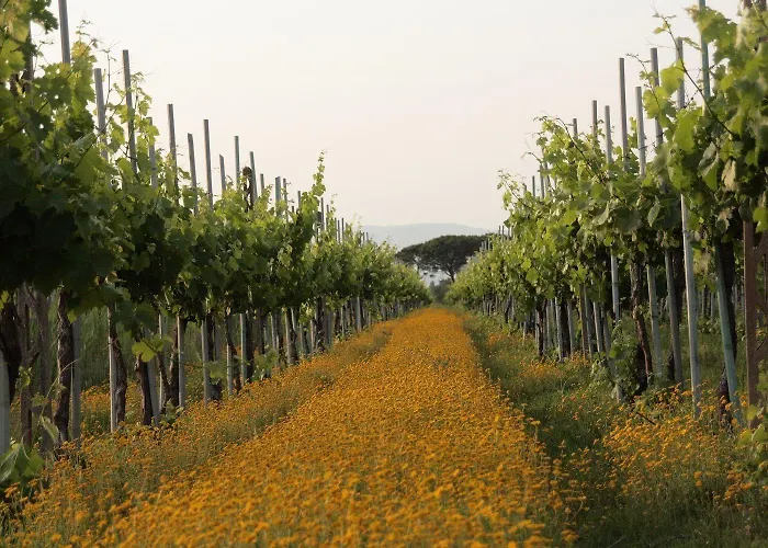 Tenuta Lamborghini Golf & Panicale