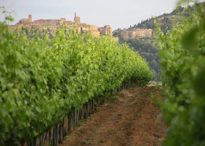 Bed & Breakfast Tenuta Lamborghini Golf & 4*